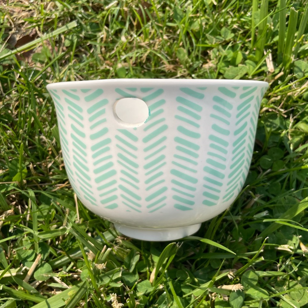 Ramen Bowl